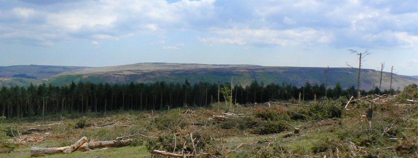 Stanage Edge Stanage Edge